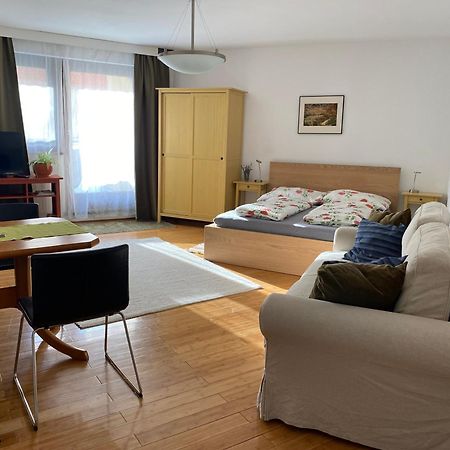 Apartment Grazbachgasse - Gratis Tiefgaragenplatz Екстериор снимка